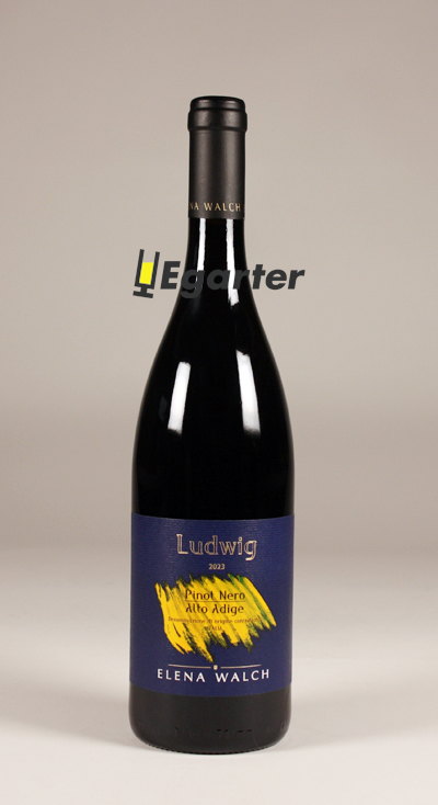 Blauburgunder Ludwig