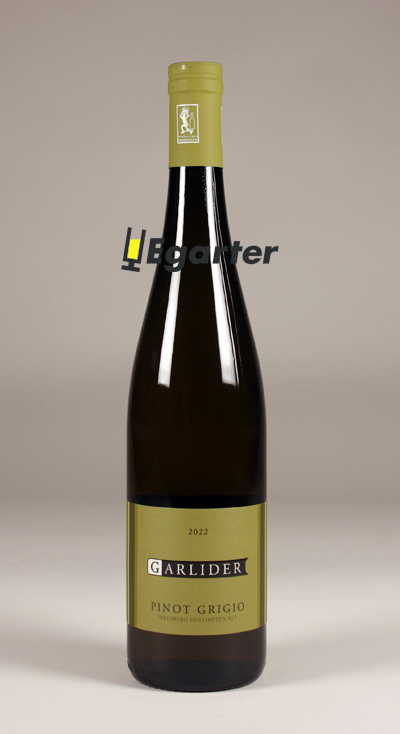 Pinot grigio Bio