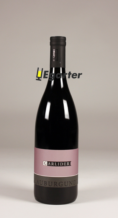 Pinot nero Bio