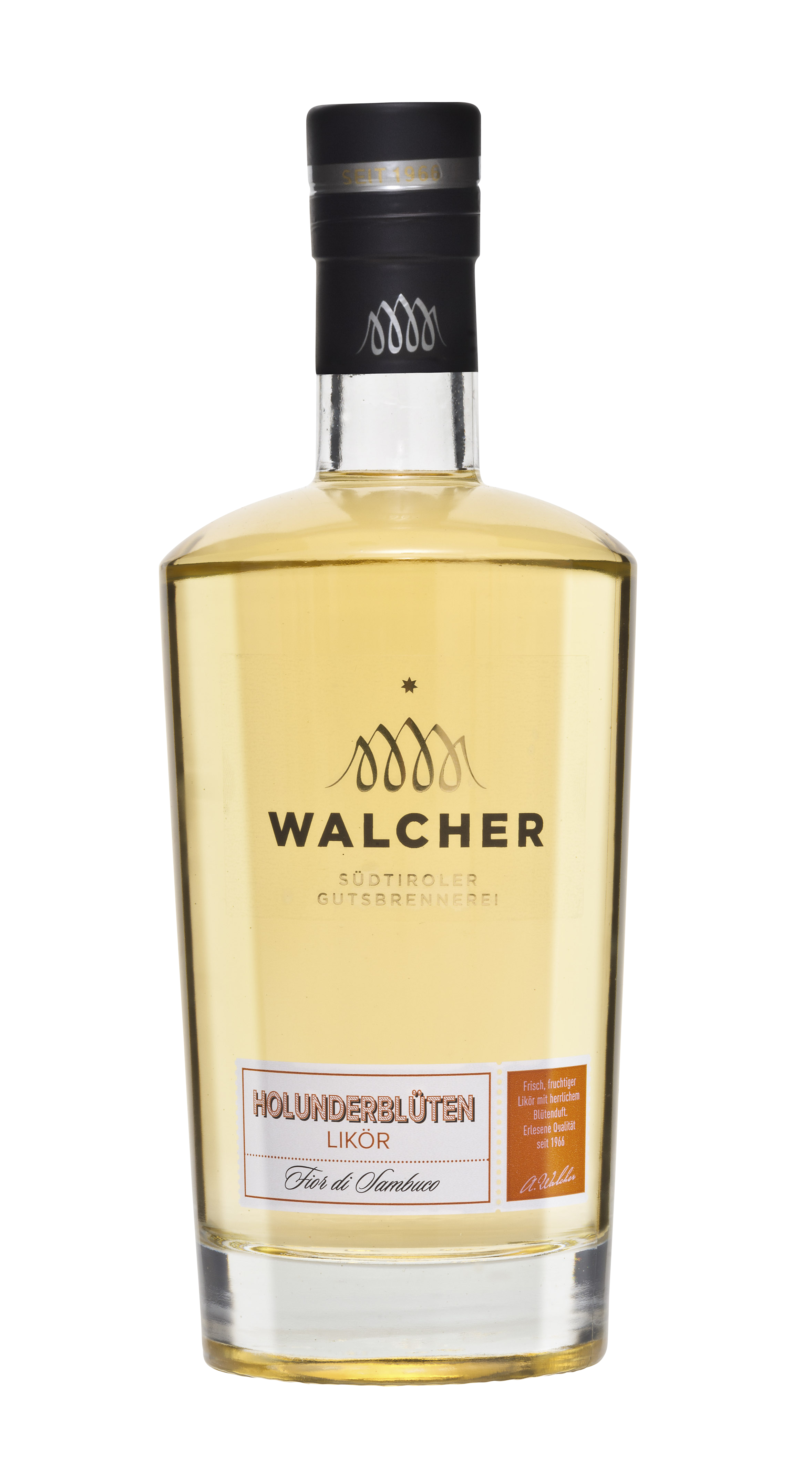 Liquore ai fiori di sambuco