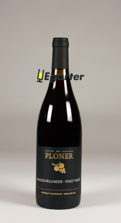 Pinot nero